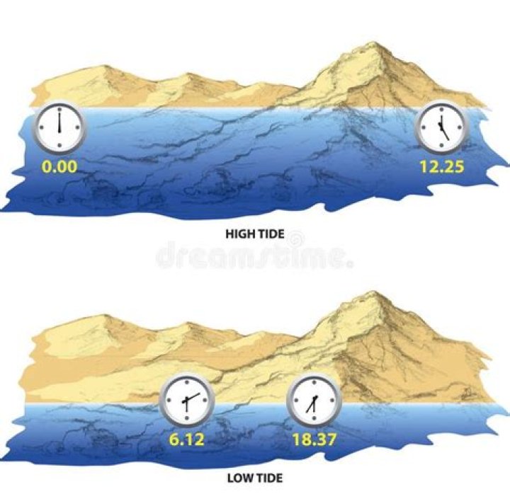 What time is high tide at the Tweed bar?