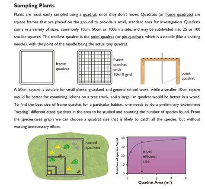 What type of sampling is quadrat?