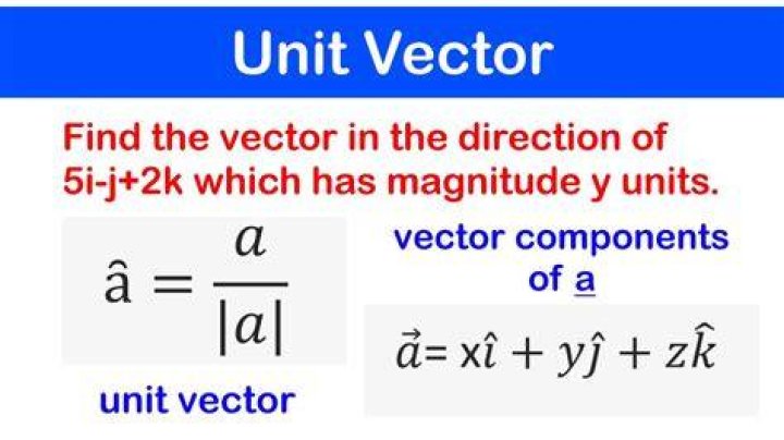 What units are used for vectors?