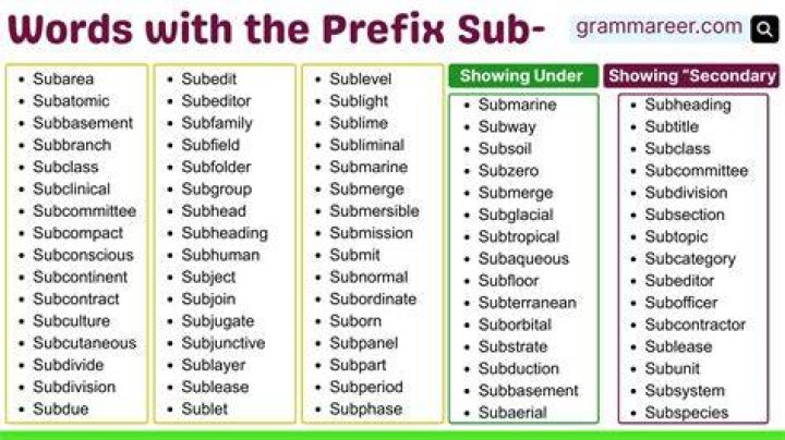 What word has the sub as a prefix?