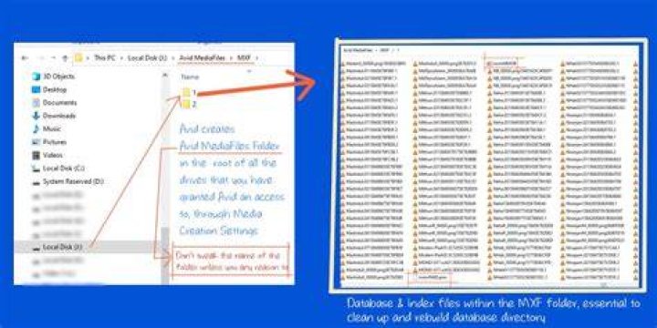 Where are avid media files stored?