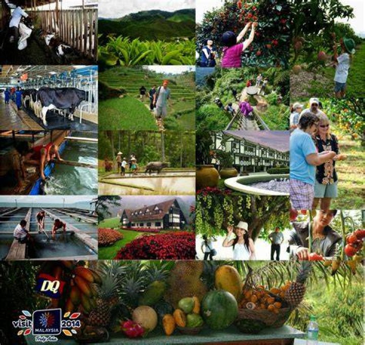 Where are the agro tourism attractions of Malaysia?