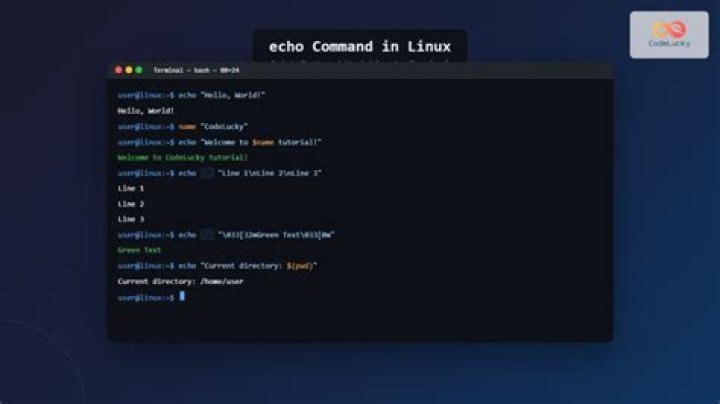 Where is the command history stored in Linux?
