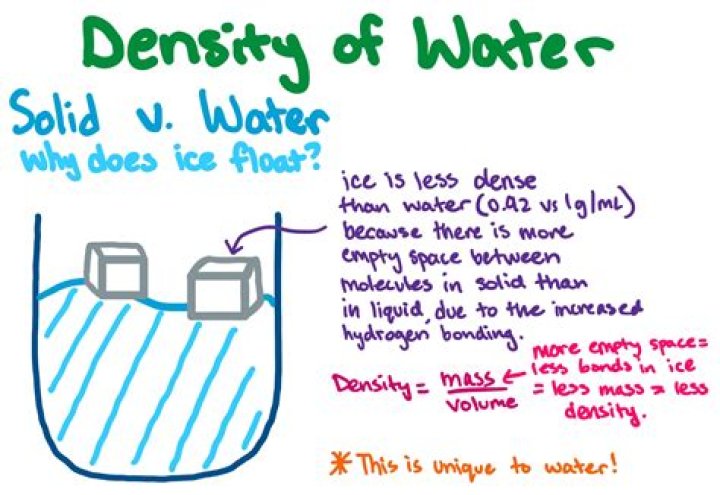 Which has more density water or salt water?