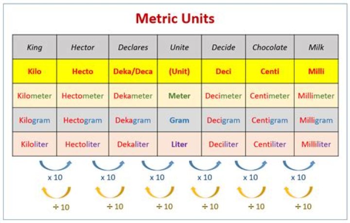 Who first used the metric system?