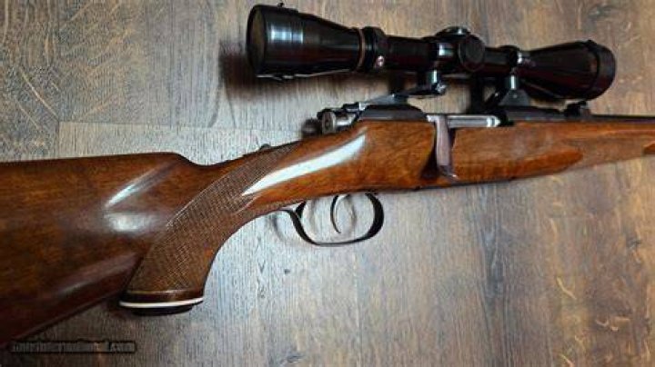 Who makes Steyr guns?