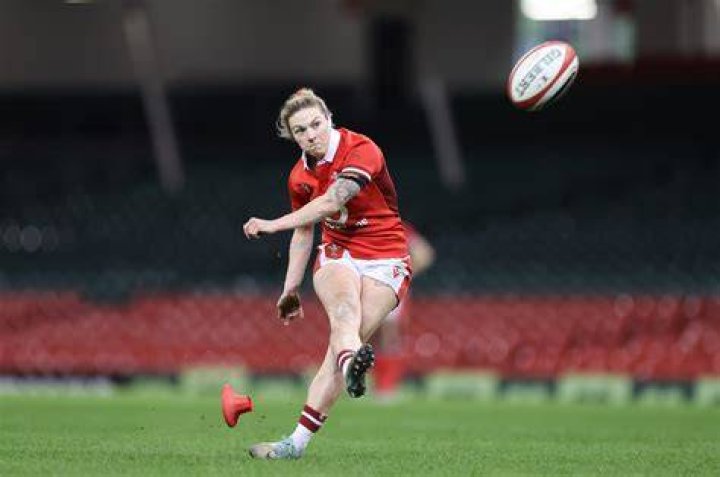 Who was ref in Wales v England?
