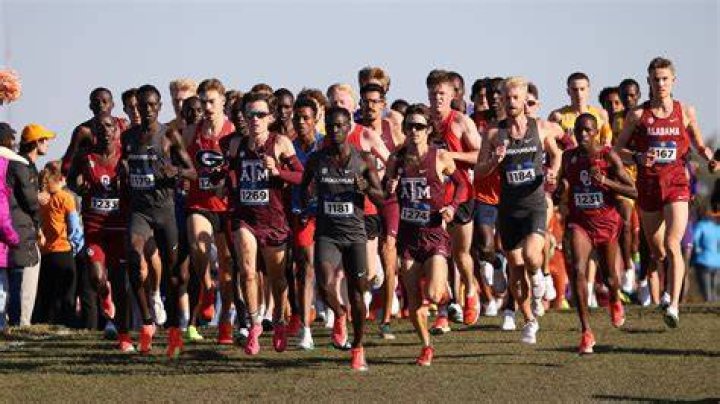 Who won the SEC cross country championships?