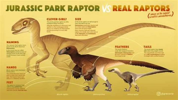 Why are the Velociraptors in Jurassic Park so big?